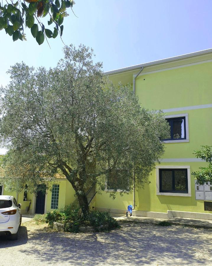 Apartments Adri, Parking In The Yard Rovinj Exterior foto